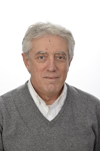 Ing. Daniele Pecorini